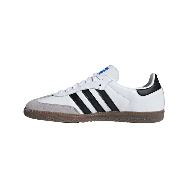 6B75806-3.jpg