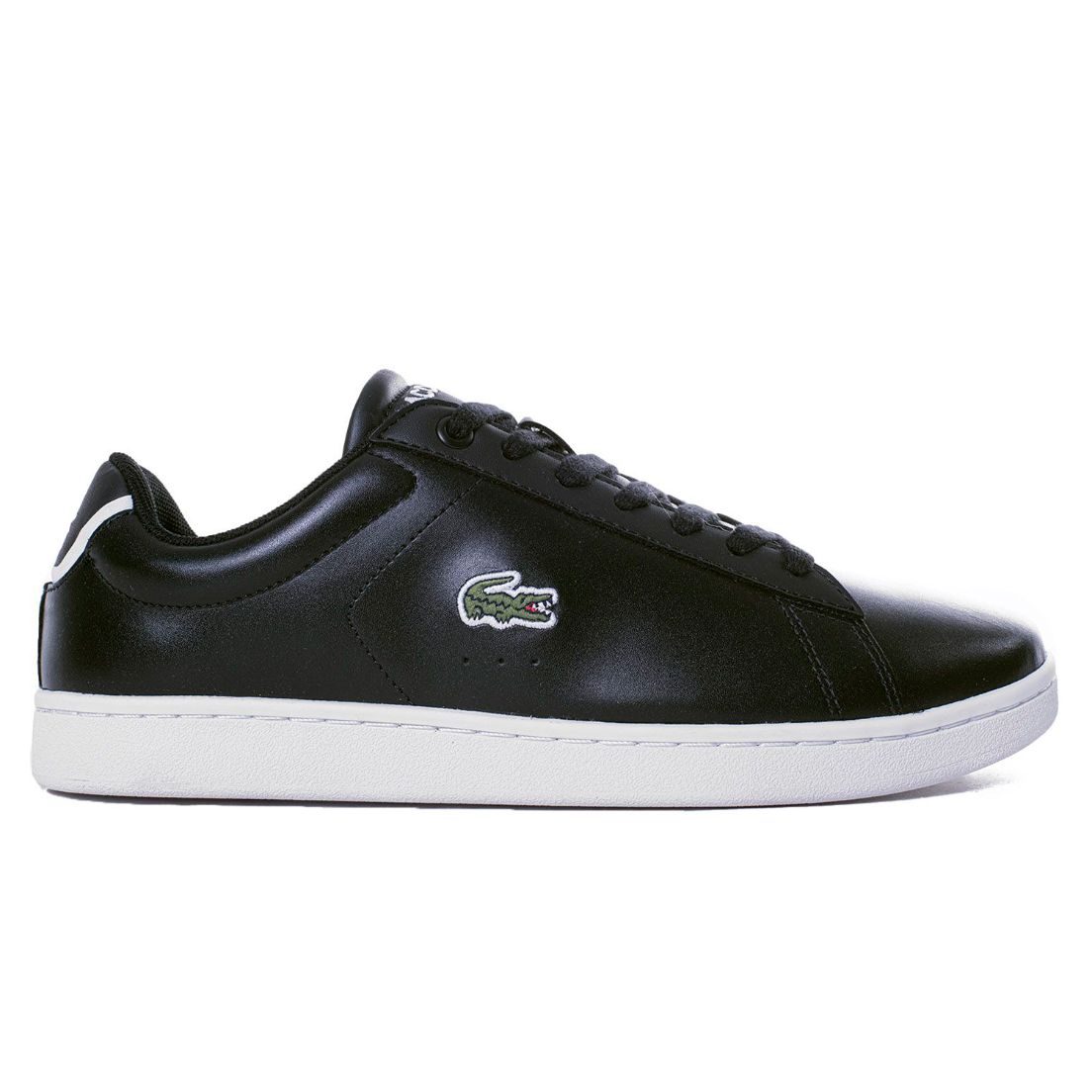 Carnaby 2025 evo lacoste