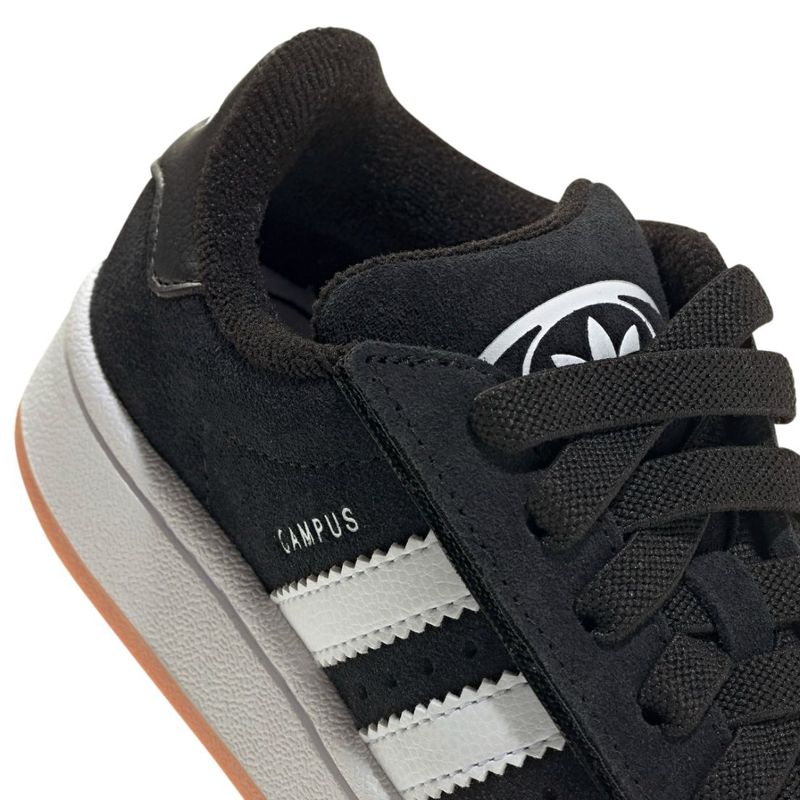 6JQ6386-000-6.jpg