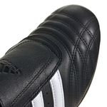 6JQ4775-000-7.jpg