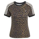 6JW7304-000-1.jpg
